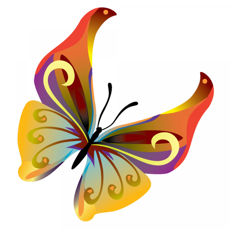 free vector 14 Colorful butterflies